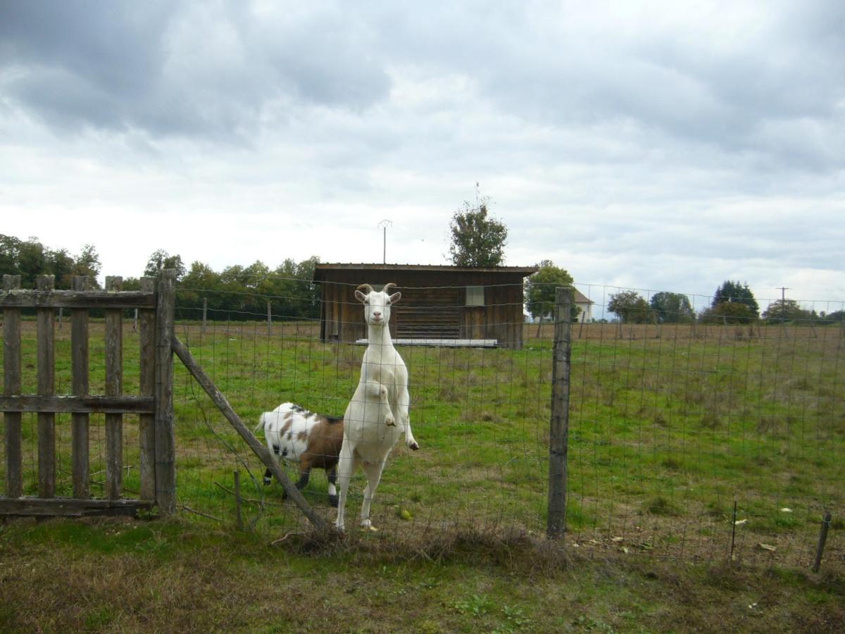 Appartement Le Domaine Des Libellules Proche Walibi Corbelin Exterior foto